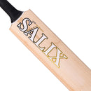Salix Amp Performance Junior Cricket Bat
