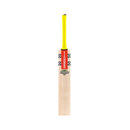 Gray-Nicolls Tempesta Gen 1.0 5 Star Junior Cricket Bat