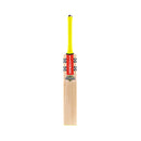 Gray-Nicolls Tempesta Gen 1.0 300 Cricket Bat