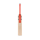 Gray-Nicolls Astro 5 Star Cricket Bat