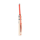Gray-Nicolls Astro 5 Star Junior Cricket Bat