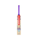 Gray-Nicolls Gem 2.1 Player Cricket Bat