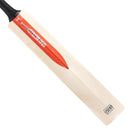 Gray-Nicolls Legend Silver Edition Cricket Bat