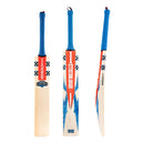Gray-Nicolls Havoc 1.0 Pro Junior Cricket Bat