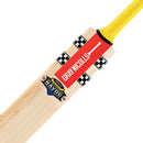 Gray-Nicolls Havoc HB317 GN550 Cricket Bat