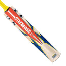 Gray-Nicolls Havoc HB317 Warrior Junior Cricket Bat