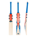 Gray-Nicolls Havoc 1.0 Test Lite Cricket Bat