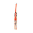 Gray-Nicolls Tempesta Gen 1.2 5 Star Cricket Bat