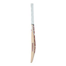 New Balance TC 360 Cricket Bat - 2024