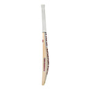 New Balance TC Pro Players Cricket Bat - 2024