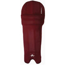 Gray Nicolls Batting Pads Clads