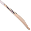 Salix AJK Alba Cricket Bat