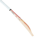 Adidas Incurza Control 2.0 Performance Cricket Bat