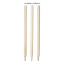 Test Cricket Stumps