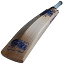 Gunn & Moore Brava DXM 404 Cricket Bat - 2025