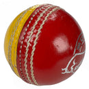 Bull Training Ball
