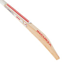Adidas Incurza Control 4.0 Junior Cricket Bat