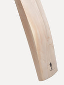 SR Chironax Junior Cricket Bat