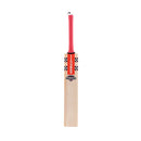 Gray-Nicolls ShockWave Gen 2.1 5 Star Cricket Bat