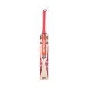 Gray-Nicolls ShockWave Gen 2.1 300 Cricket Bat