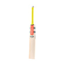 Gray-Nicolls Tempesta Gen 1.0 5 Star Junior Cricket Bat