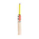 Gray-Nicolls Tempesta Gen 1.0 300 Cricket Bat