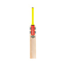 Gray-Nicolls Tempesta Gen 1.0 5 Star Junior Cricket Bat