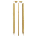 Club Stumps