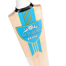 Newbery Pulse Player Cricket Bat