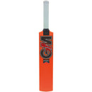 Gunn & Moore Opener Moulded Cricket Bat
