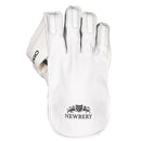 Newbery Pro Wicket Keeping Gloves
