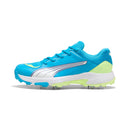 Puma 24.1 Spike Cricket Shoes - 2026