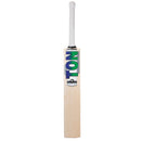 Ton Power Plus Cricket Bat