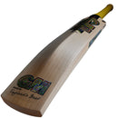 Gunn & Moore Psyche DXM 909 Cricket Bat