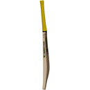 Gunn & Moore Psyche DXM 606 Delta Cricket Bat