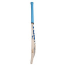 Ton Elite Cricket Bat