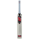 Gunn & Moore Radon Cricket Bat