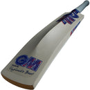 Gunn & Moore Radon Junior Cricket Bat - 2026