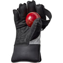 Gunn & Moore Rival 909 Wicketkeeping Gloves