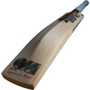 Gunn & Moore Rival DXM 808 Junior Cricket Bat