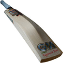 Gunn & Moore Rival DXM 808 Junior Cricket Bat