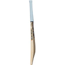 Gunn & Moore Rival DXM LE Cricket Bat