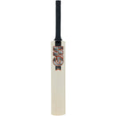 Gunn & Moore Rival Cricket Set