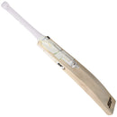 SF Gradiges Blade Cricket Bat