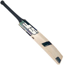 SF Stellar 2000 Cricket Bat