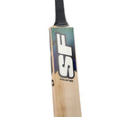 SF Stellar 3000 Cricket Bat