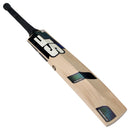 SF Stellar 3000 Cricket Bat