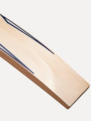 SR Pro Performance Cricket Bat