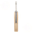 Newbery Velo GT SPS Junior Cricket Bat