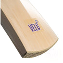 Newbery Velo GT 5* Cricket Bat